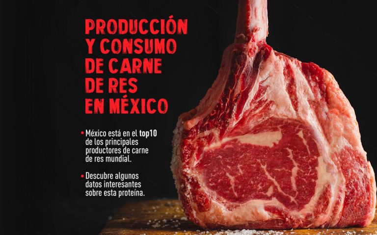 Producción y consumo de carne de res en México